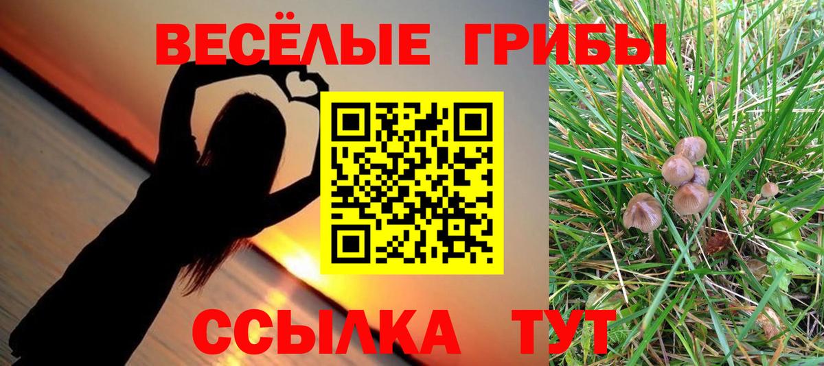 Галлюциногенные грибы мицелий  Вход с VPN  Бийск 