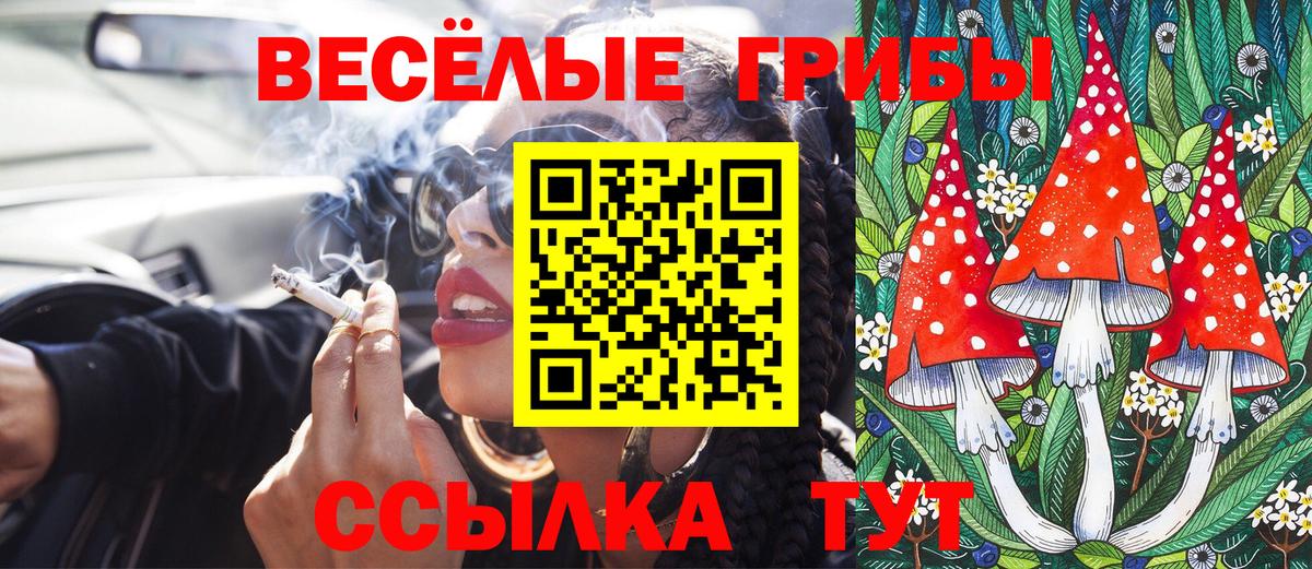 Псилоцибиновые грибы MAGIC MUSHROOMS Бийск